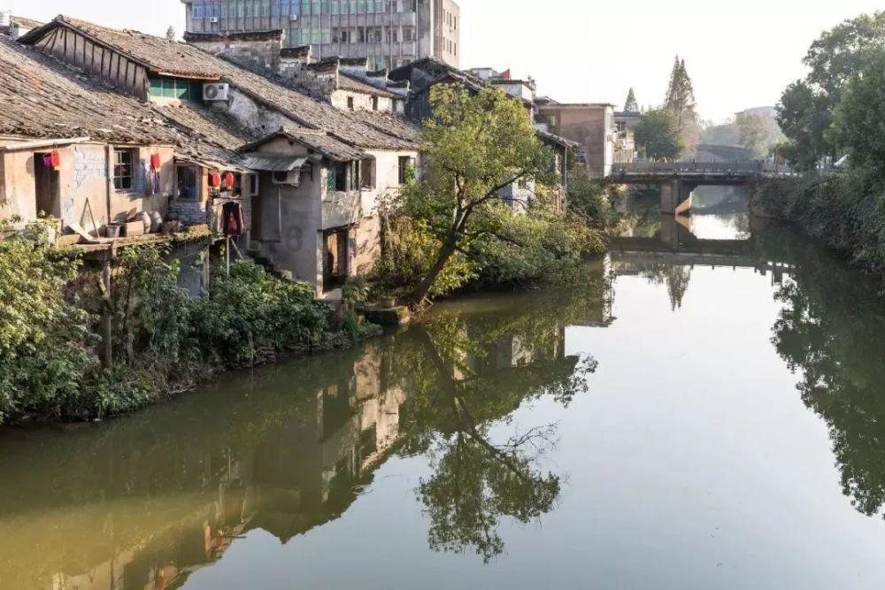 小太阳鹦鹉一直吃饭怎么回事？游戏画面